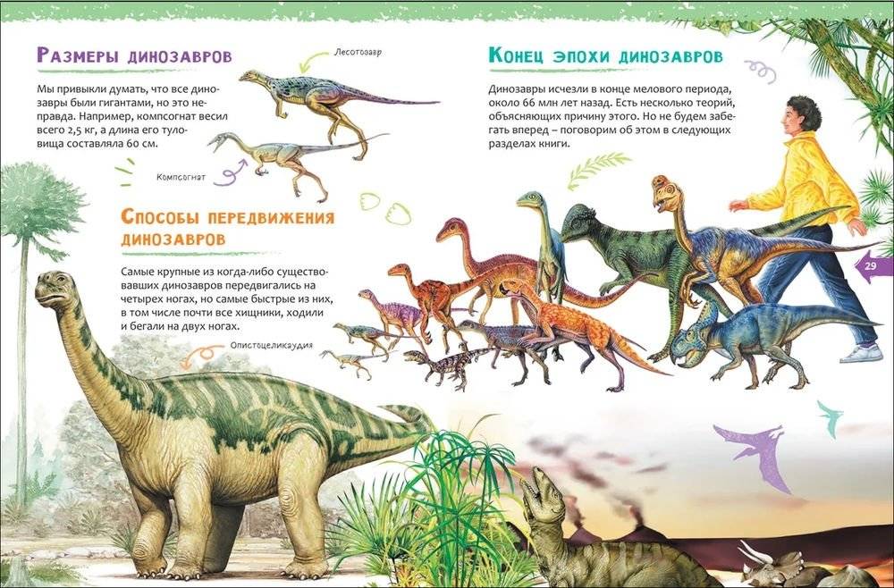 Динозавры фото книги 5