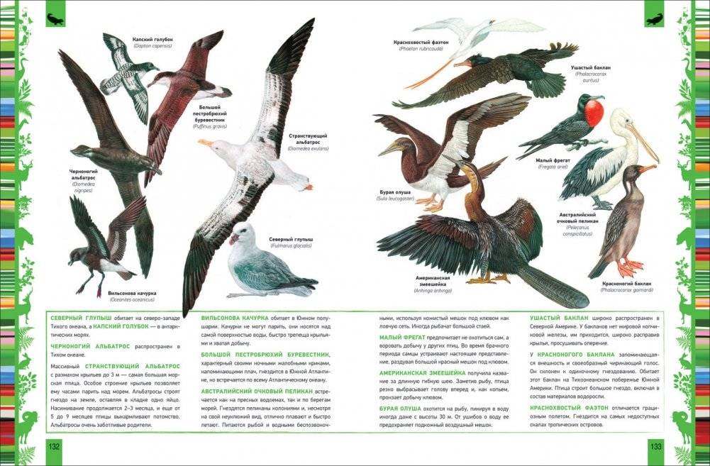 Животные. Большая энциклопедия фото книги 2