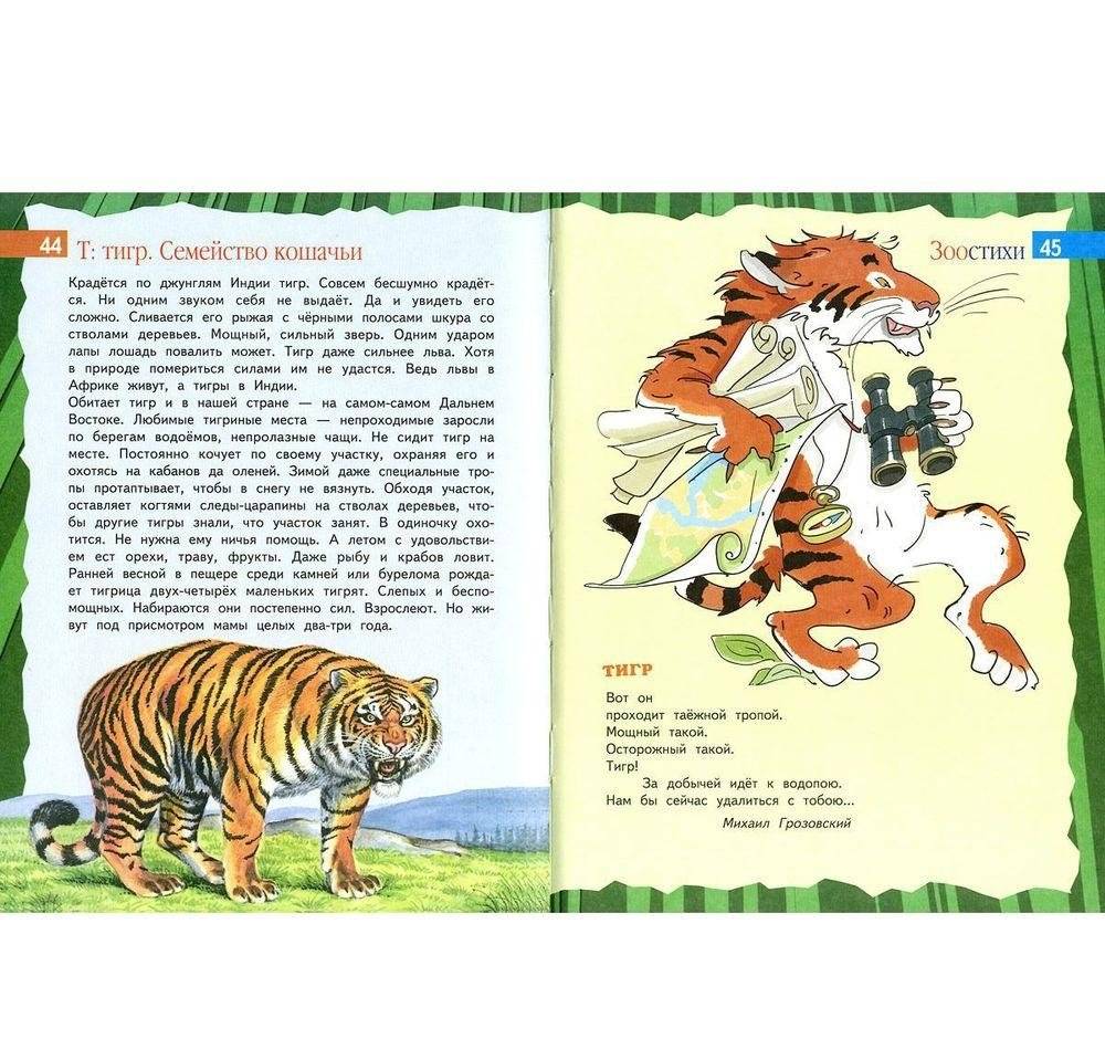 Про животных. Маленькая энциклопедия плюс стихи, загадки, пословицы и поговорки фото книги 5