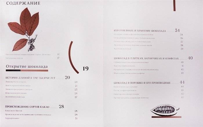 Шоколад фото книги 2