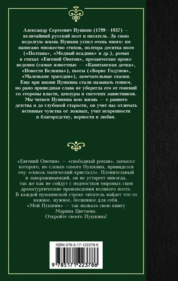 Евгений Онегин. Драмы фото книги 2