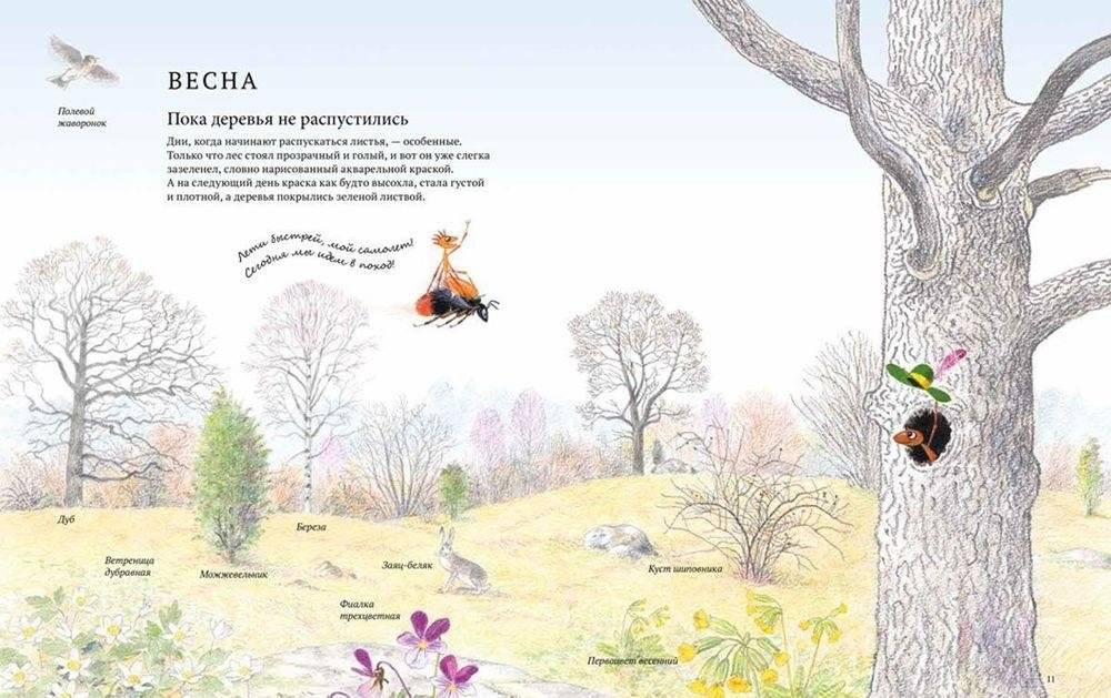 Экспедиция Софи фото книги 2