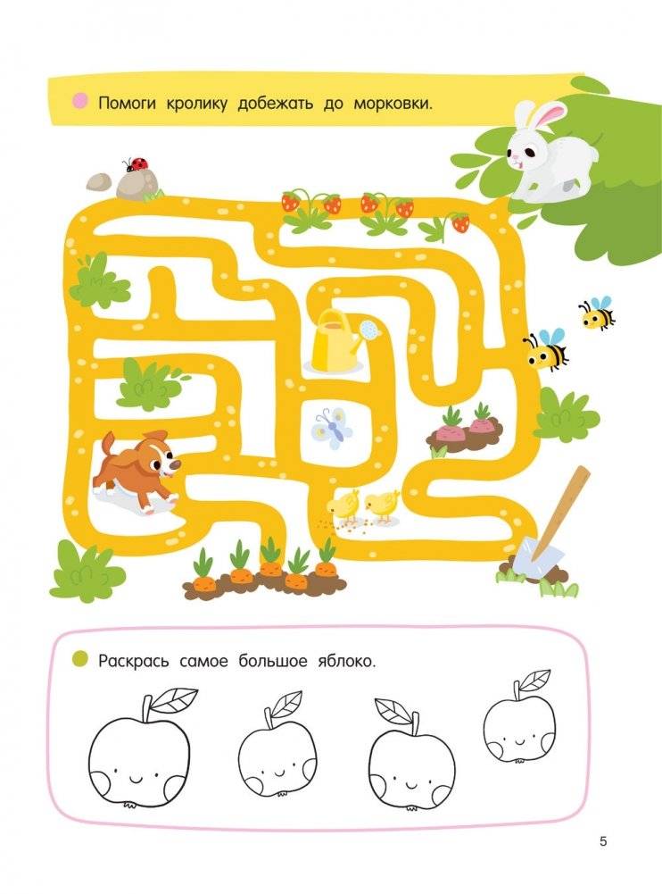 256 увлекательных заданий на каждый день фото книги 5