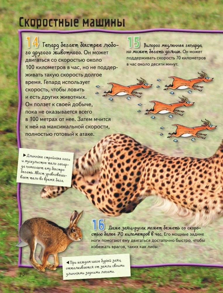 Животные фото книги 13