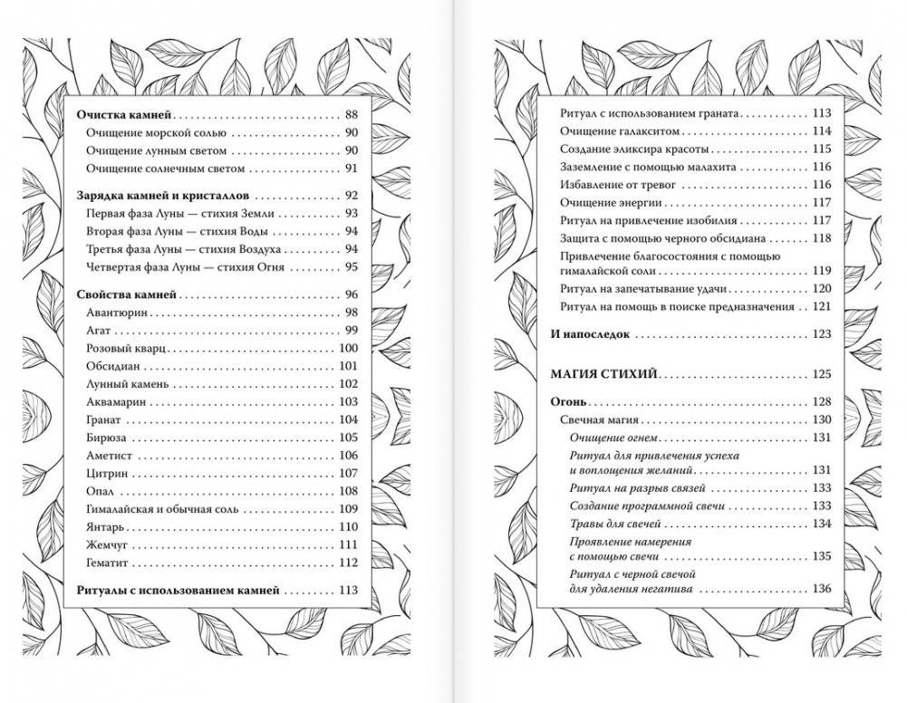 Секреты зеленой ведьмы. Фамильяры, магия стихий, растений и камней фото книги 3