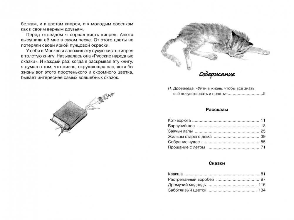 Кот-ворюга. Рассказы и сказки фото книги 6