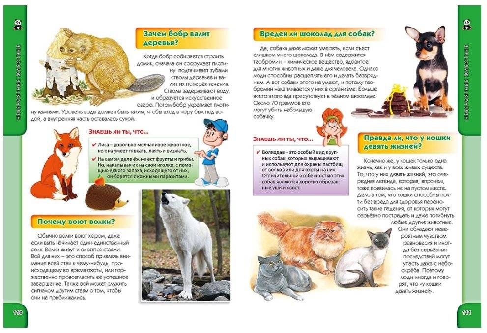 Что? Как? Почему? Зачем? Большая детская энциклопедия фото книги 6