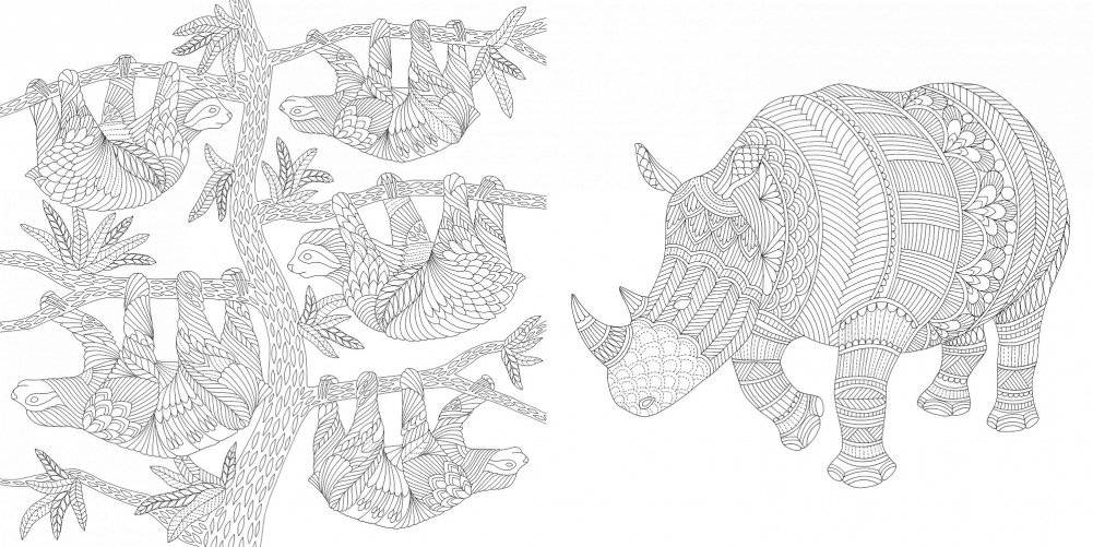 Божественные создания. Золотая коллекция любимых иллюстраций фото книги 2