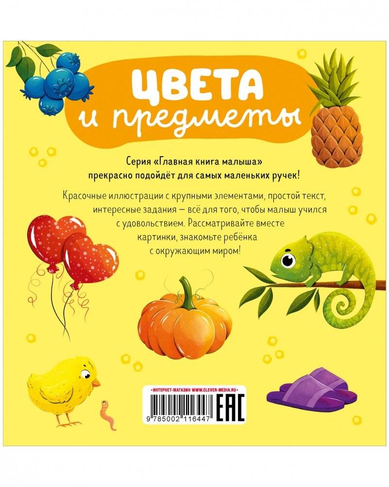 Главная книга малыша. Цвета и предметы фото книги 8