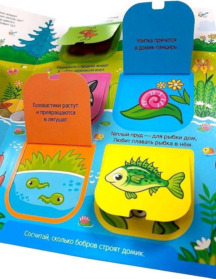 В лесу фото книги 2