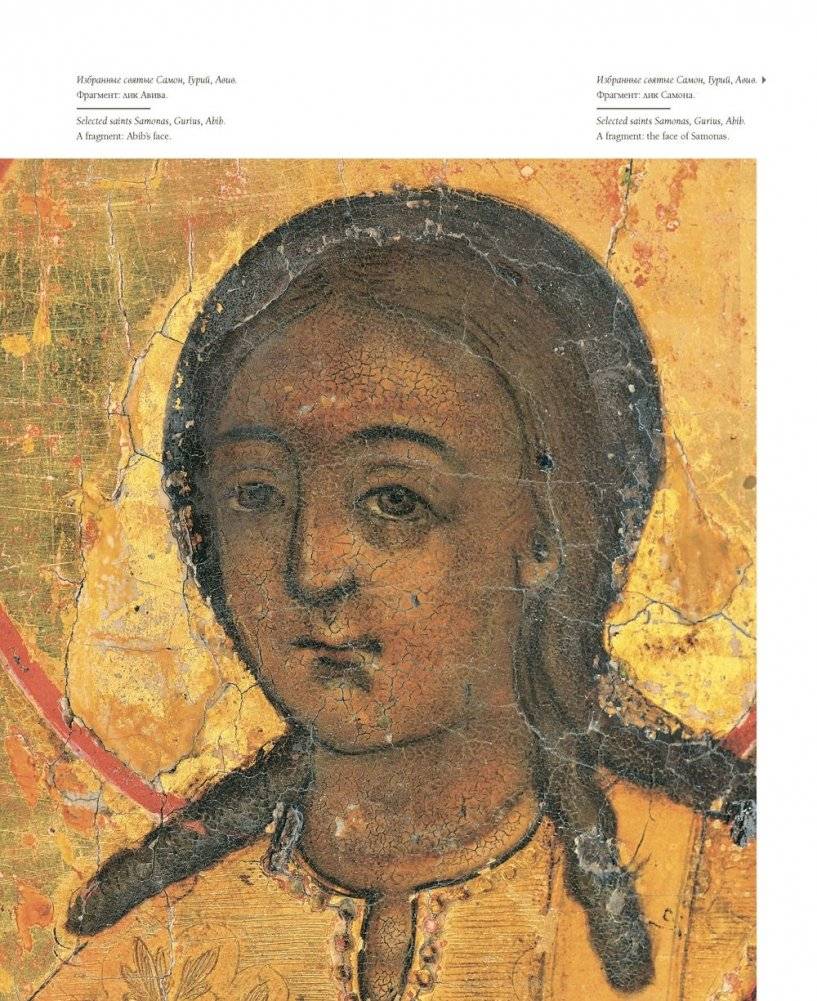 Книжная культура. Ветка фото книги 5