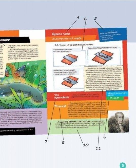 Лучшие научные эксперименты для детей. Физика, химия, биология фото книги 5