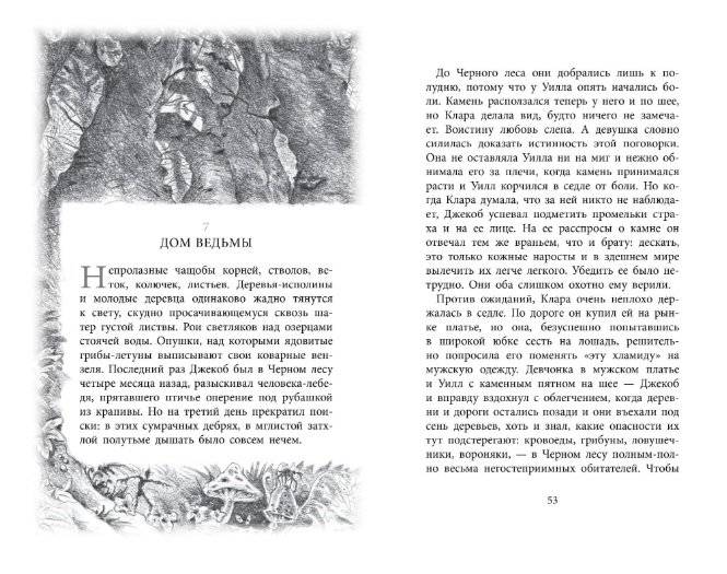 Бесшабашный. Книга 1. Камень во плоти фото книги 4