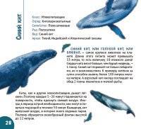 Подводный мир. Серия "Планета животных" фото книги 4