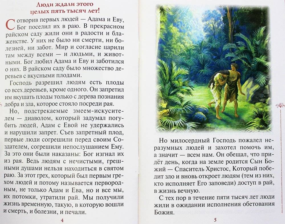 Райская Лилия. Рассказы о пресвятой Богородице для семейного чтения фото книги 3