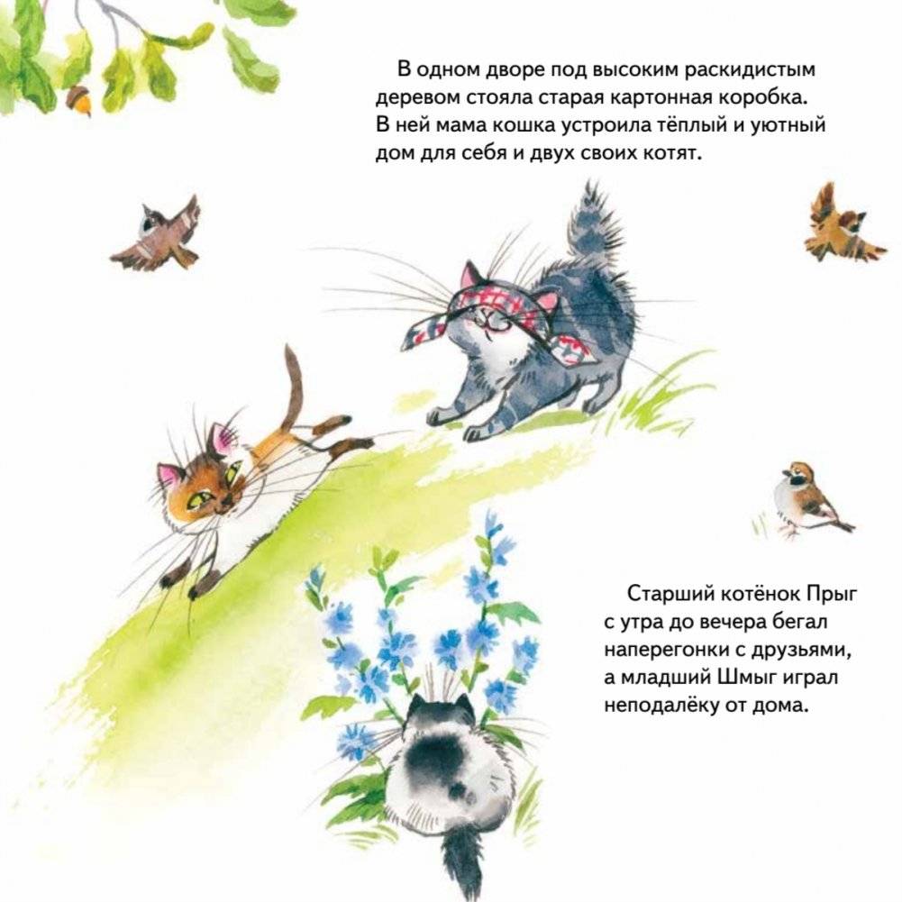 Дружные братишки Прыг и Шмыг! Логопедические сказки. Видеоурок от логопеда - внутри под QR-кодом! фото книги 5