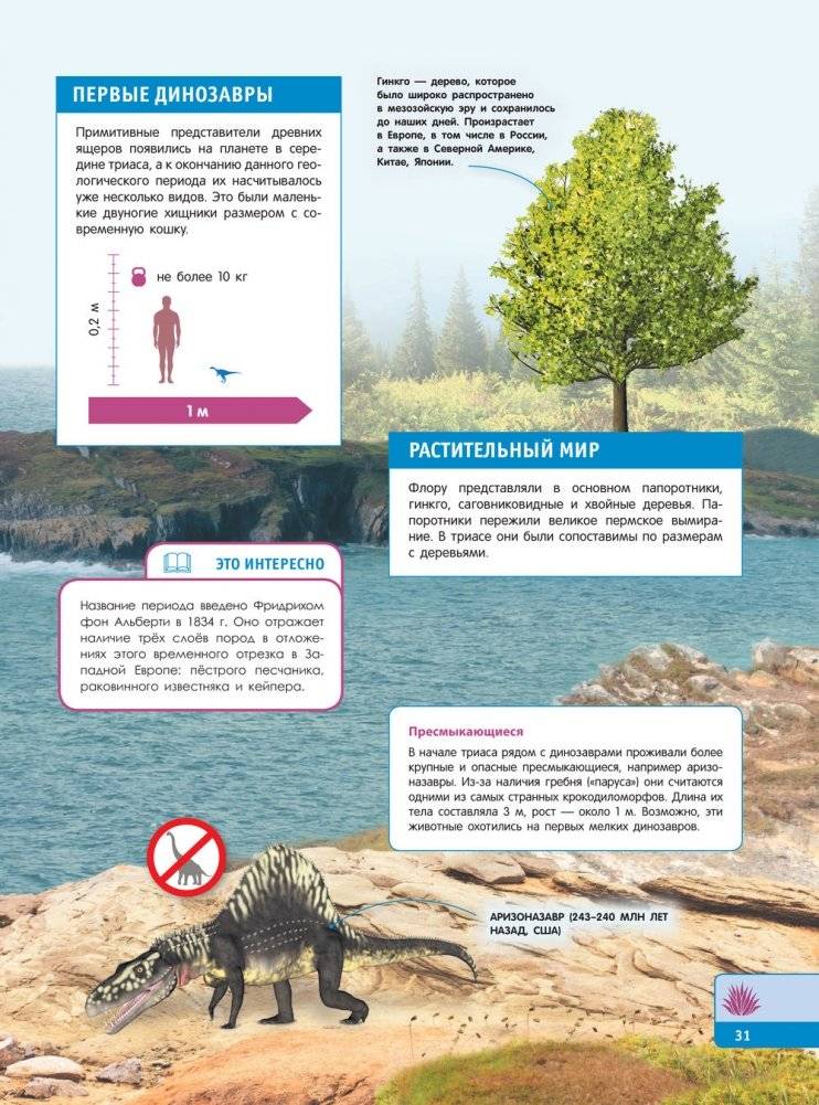 Тайны динозавров. Самая невероятная энциклопедия фото книги 32
