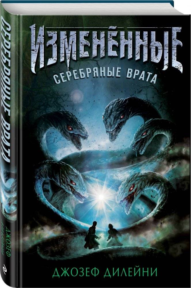 Серебряные врата фото книги 2