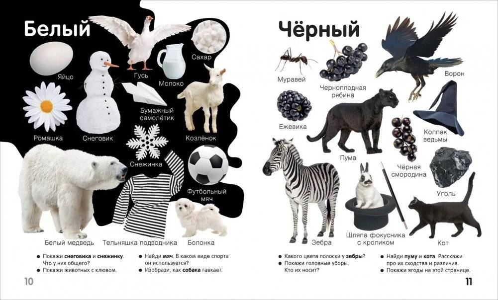 Цвета и формы. Твоя первая фотокнига фото книги 5