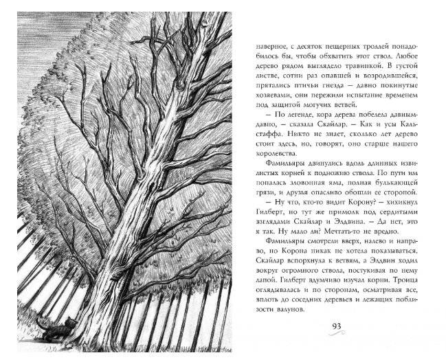 Фамильяры. Книга 2. Загадки Короны фото книги 5