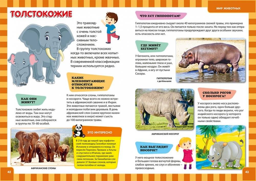 Книга для детей в вопросах и ответах. Иллюстрированная энциклопедия фото книги 5