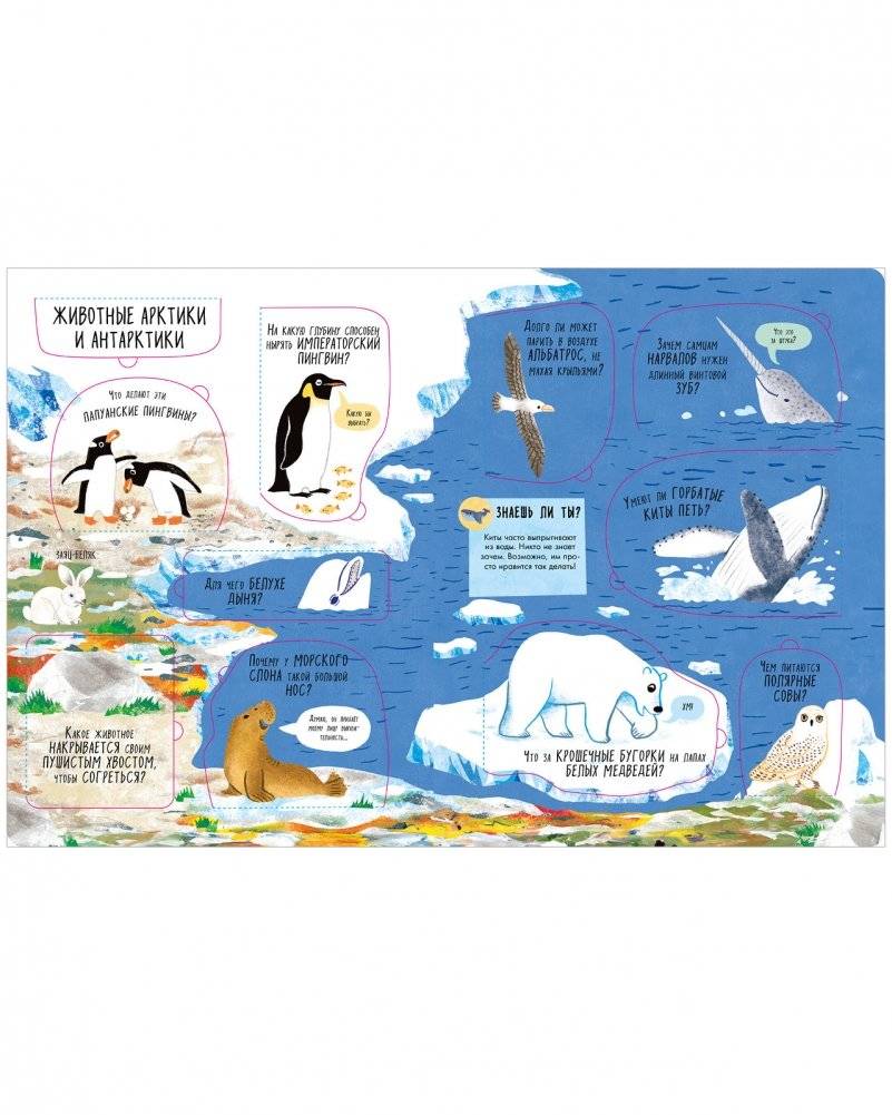 Большая книга с окошками. Животные фото книги 5