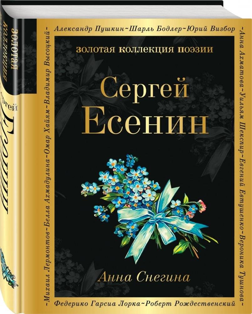 Анна Снегина фото книги 2