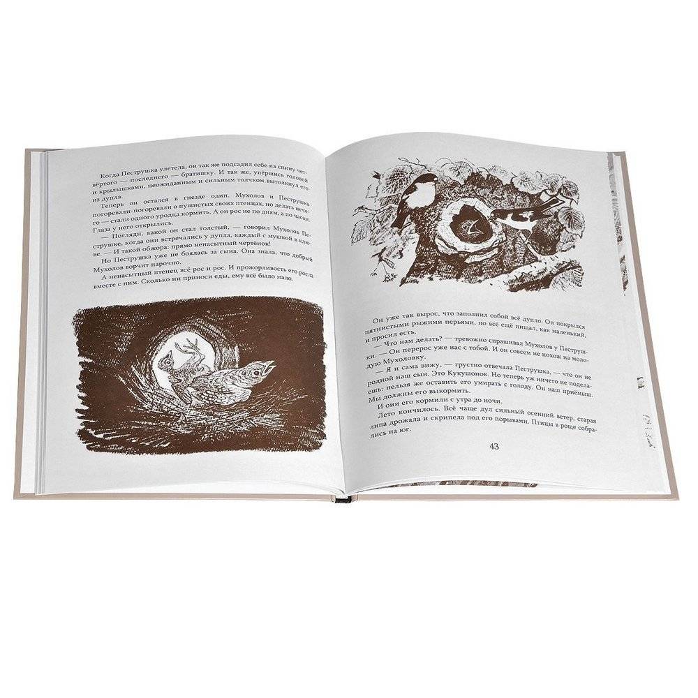 Лесные сказки фото книги 2