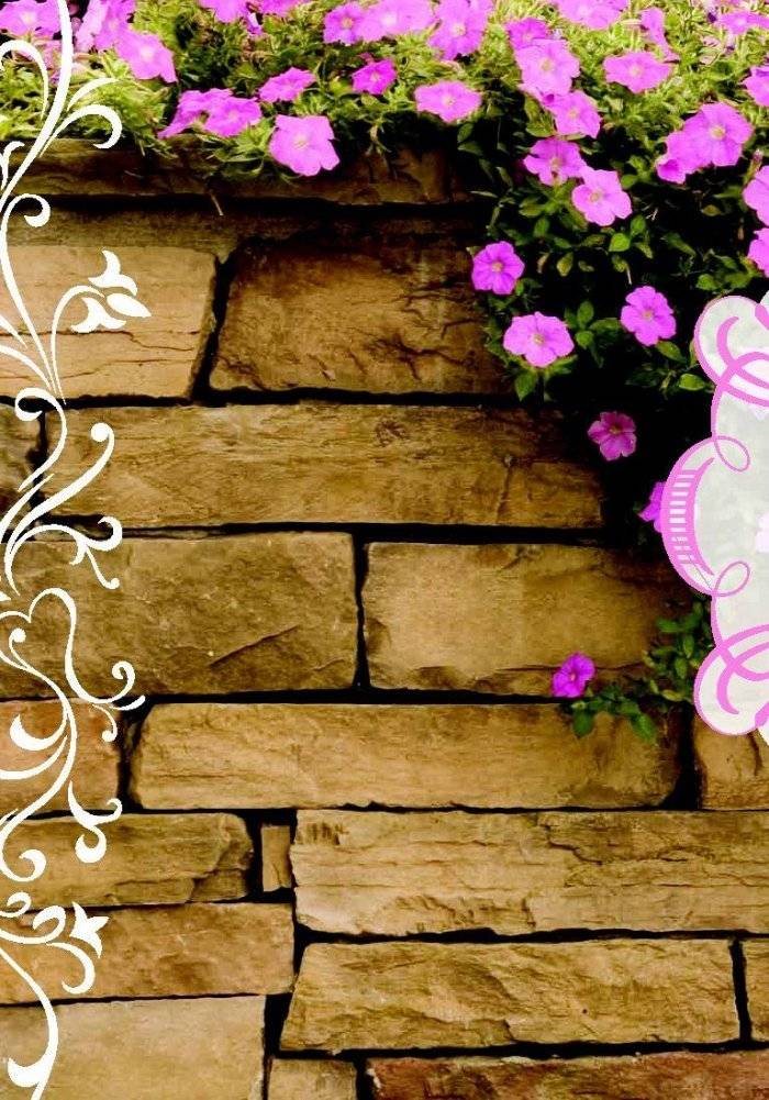 Цветочная терапия фото книги 7