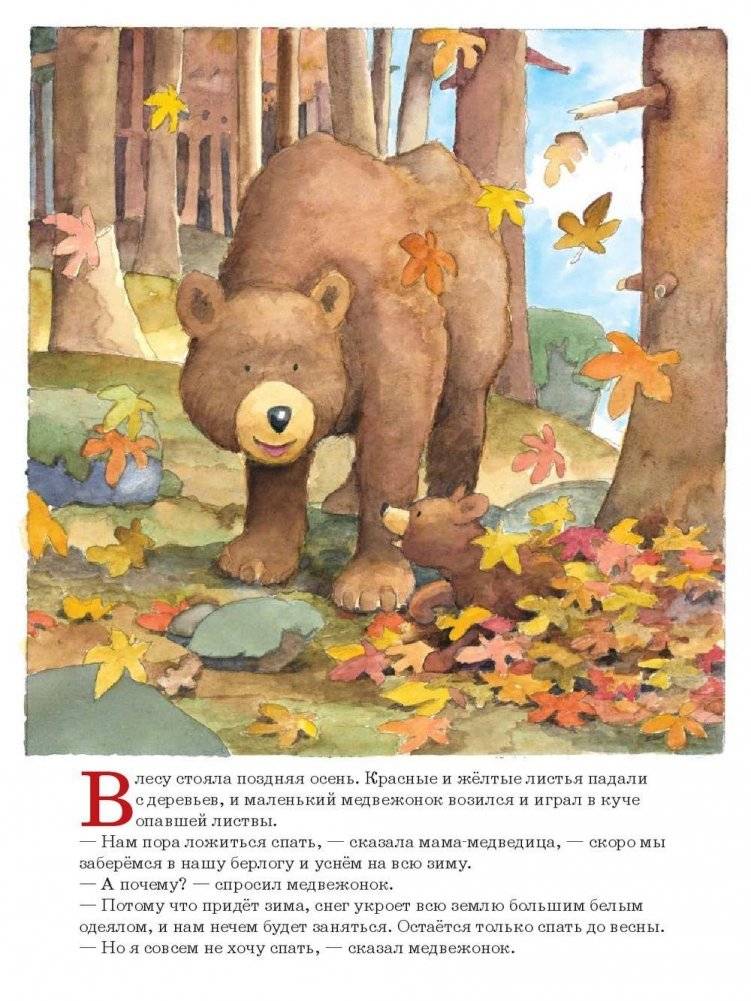 Ложись спать, медвежонок! фото книги 4