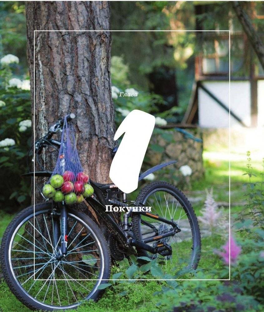 Первый год замужем. Счастье есть и любить! фото книги 9