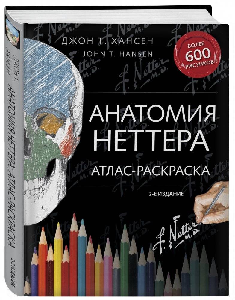 Анатомия Неттера. Атлас-раскраска фото книги 2