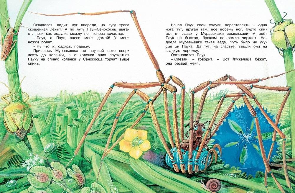 Как Муравьишка домой спешил. Сказки для малышей фото книги 4
