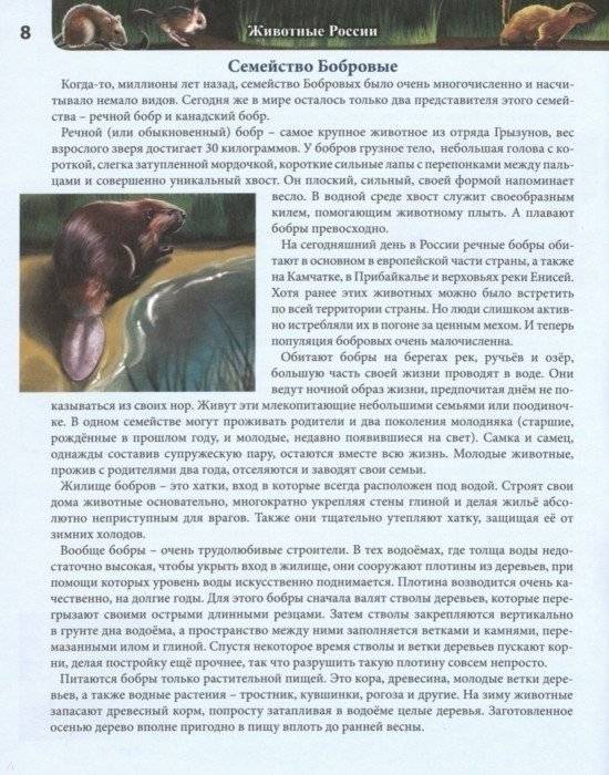 Энциклопедия. Животные России фото книги 3
