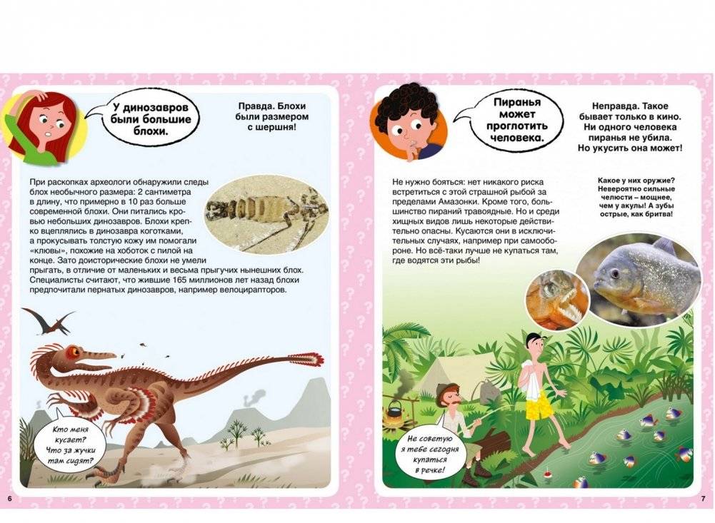 Правда или нет? 100 вопросов и ответов в картинках фото книги 2
