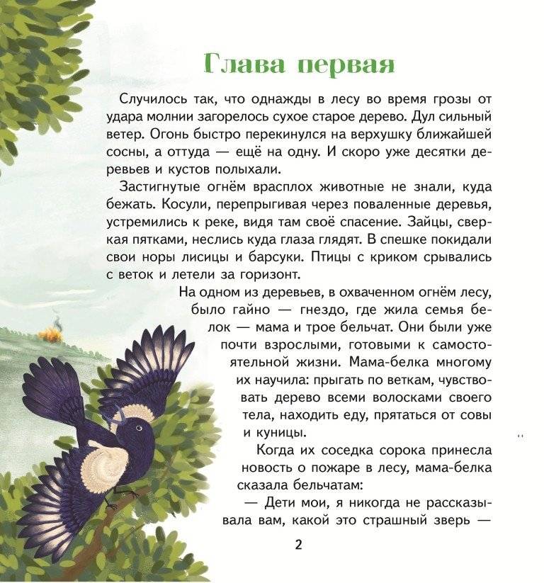 Рыжий зубастик. Серия «Сказки птиц и зверей» фото книги 2