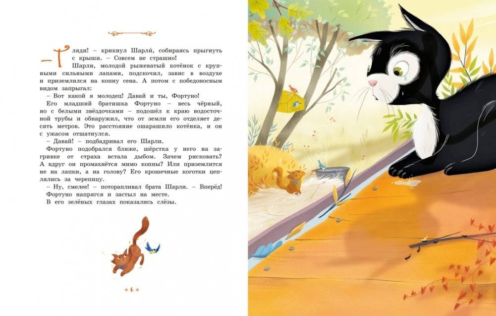 Котёнок, который всего боялся фото книги 2
