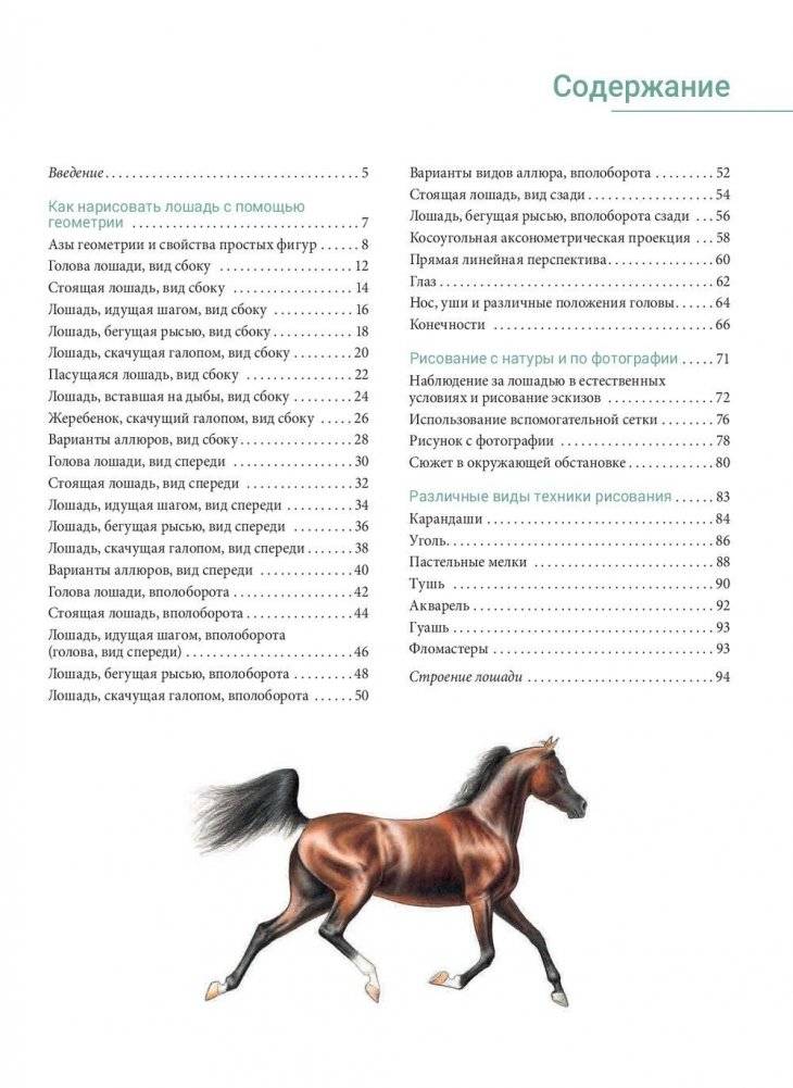 Рисуем лошадей. Руководство фото книги 2