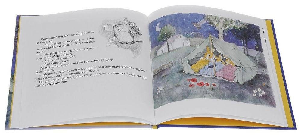 Кто залез в курятник фото книги 2