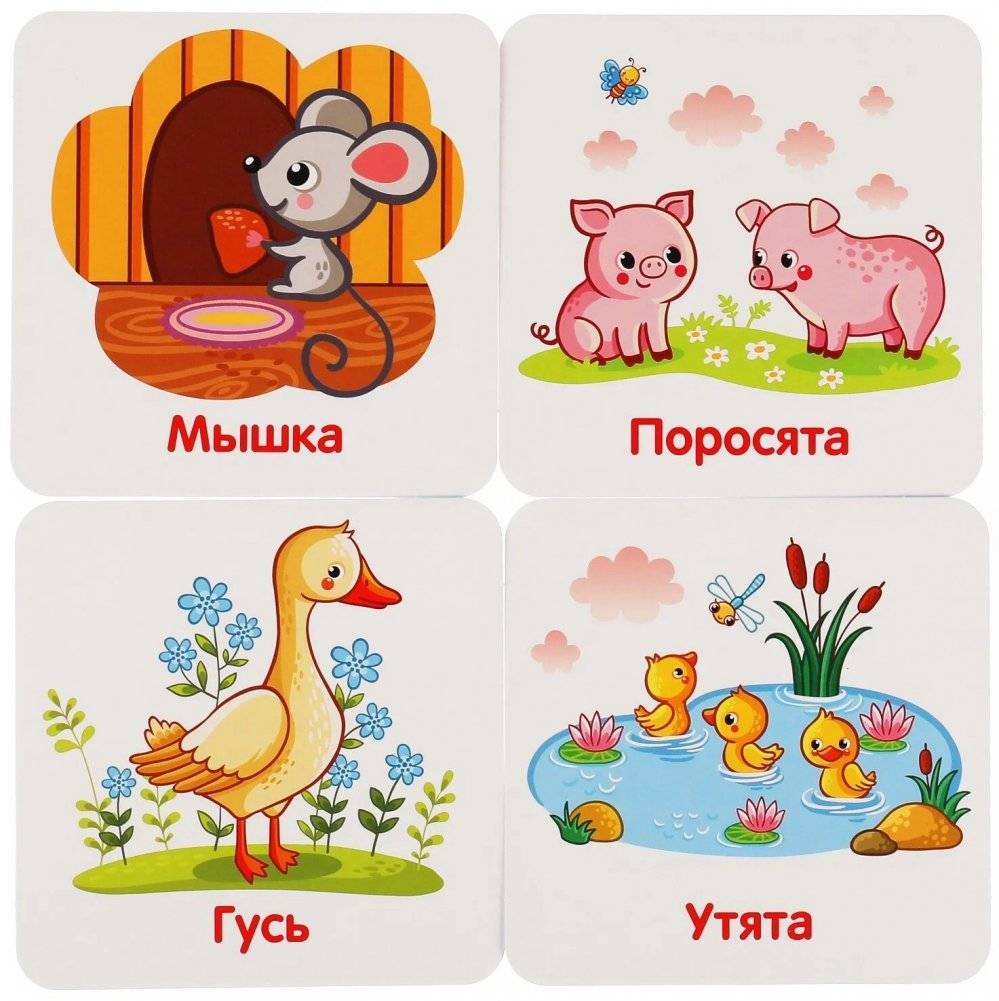 IQ чемоданчик. Умные игры. Домашние животные. 35 карточек в чемоданчике фото книги 3