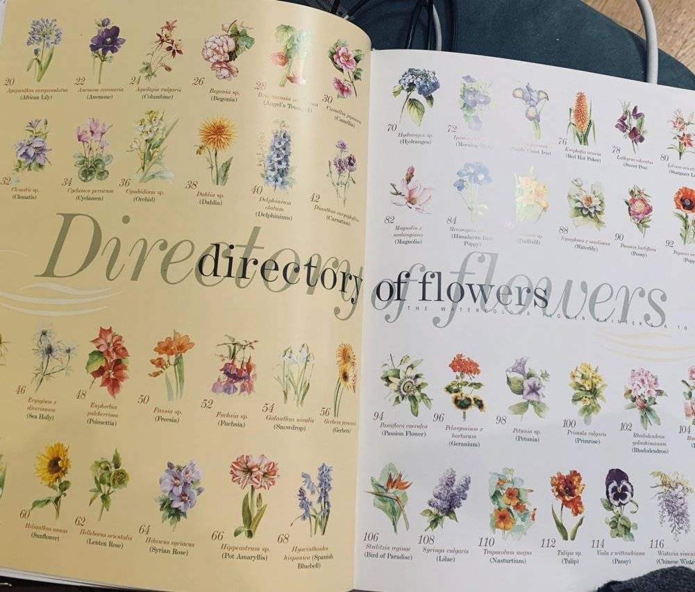 Kew: The Watercolour Flower Painter's A to Z фото книги 2
