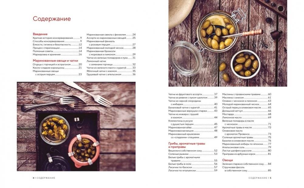 Домашние заготовки и консервирование. Вкусные рецепты, проверенные временем фото книги 2