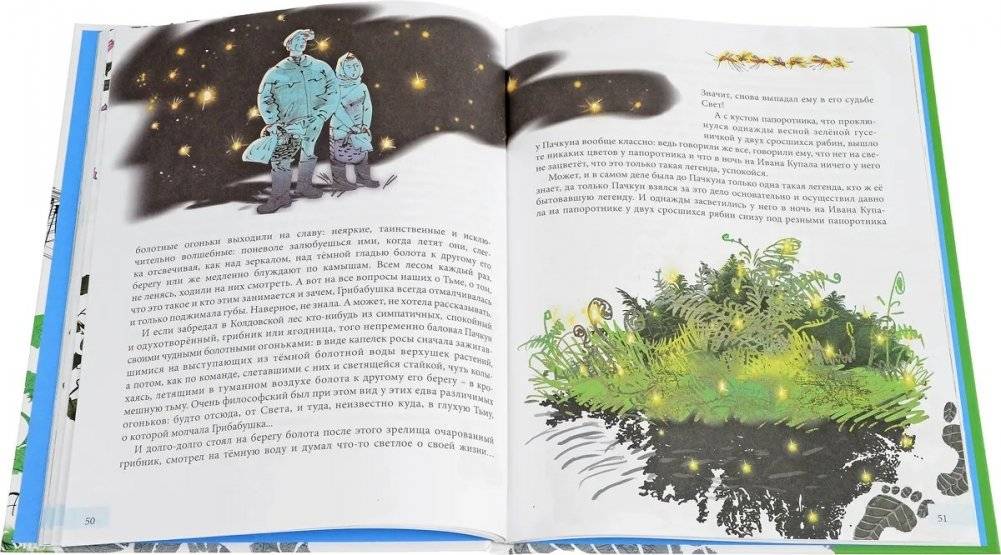 Грибабушка, или немножко колдовства фото книги 3