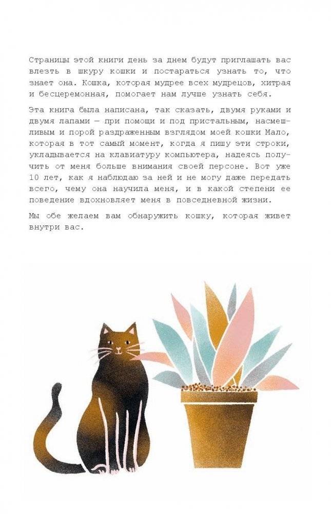 Кошачья мудрость. Хюгге-дневник фото книги 4