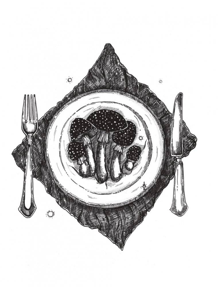 Яды: вокруг и внутри. Путеводитель по самым опасным веществам на планете фото книги 9