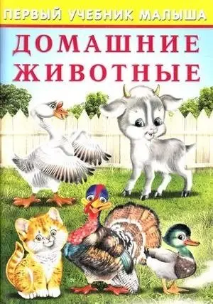 Домашние животные фото книги