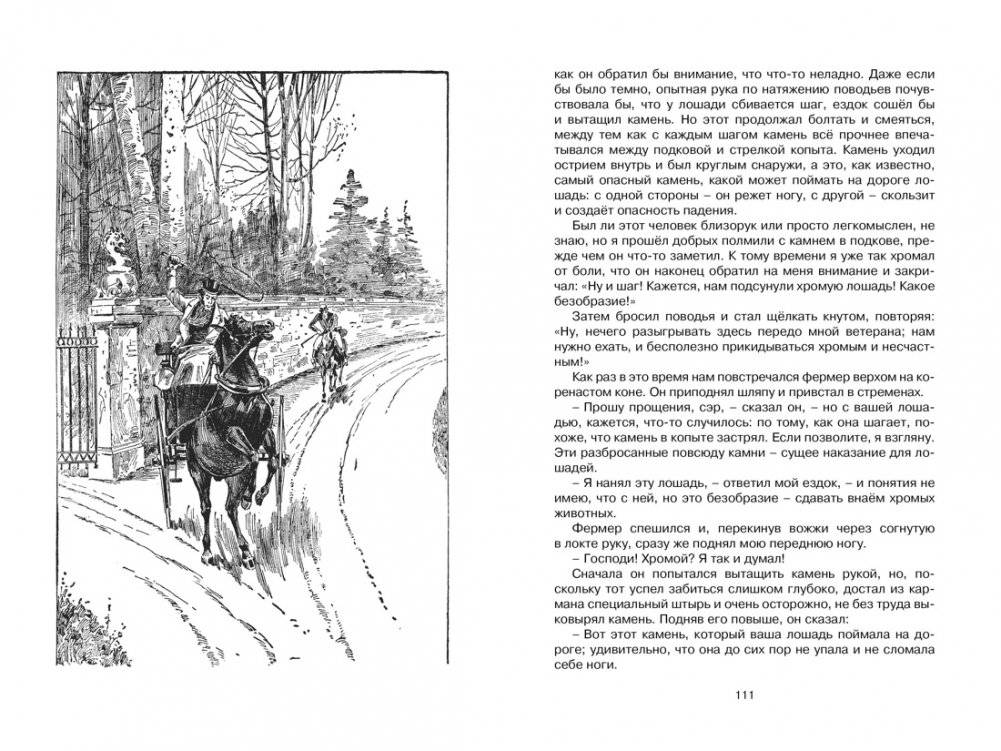 Чёрный Красавчик фото книги 4