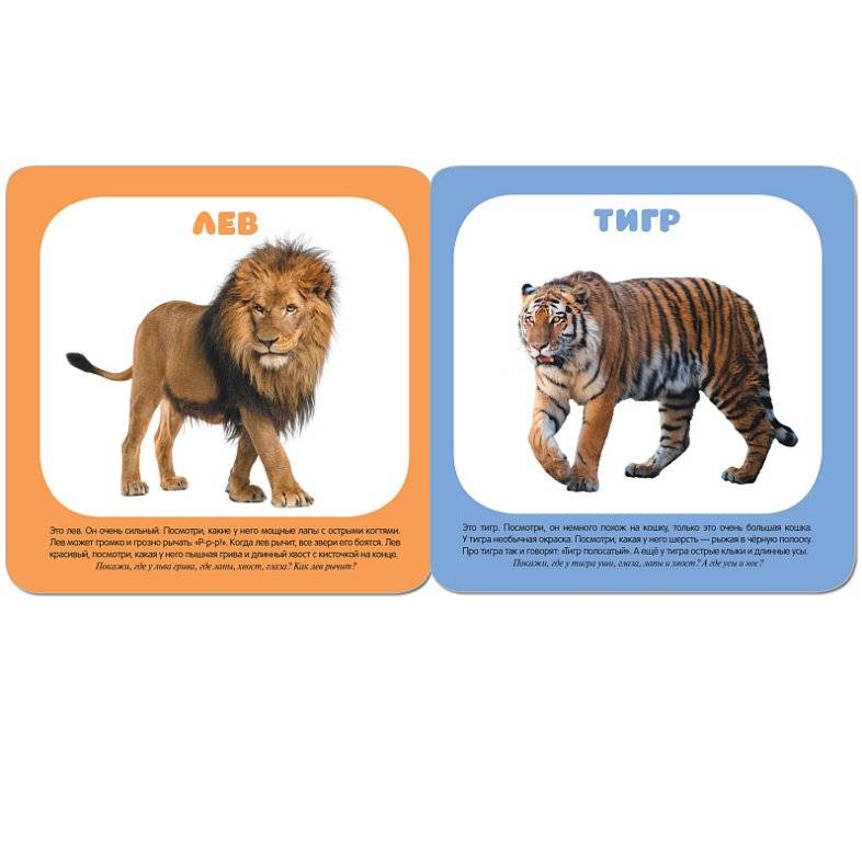 Малышарики. Животные зоопарка фото книги 3