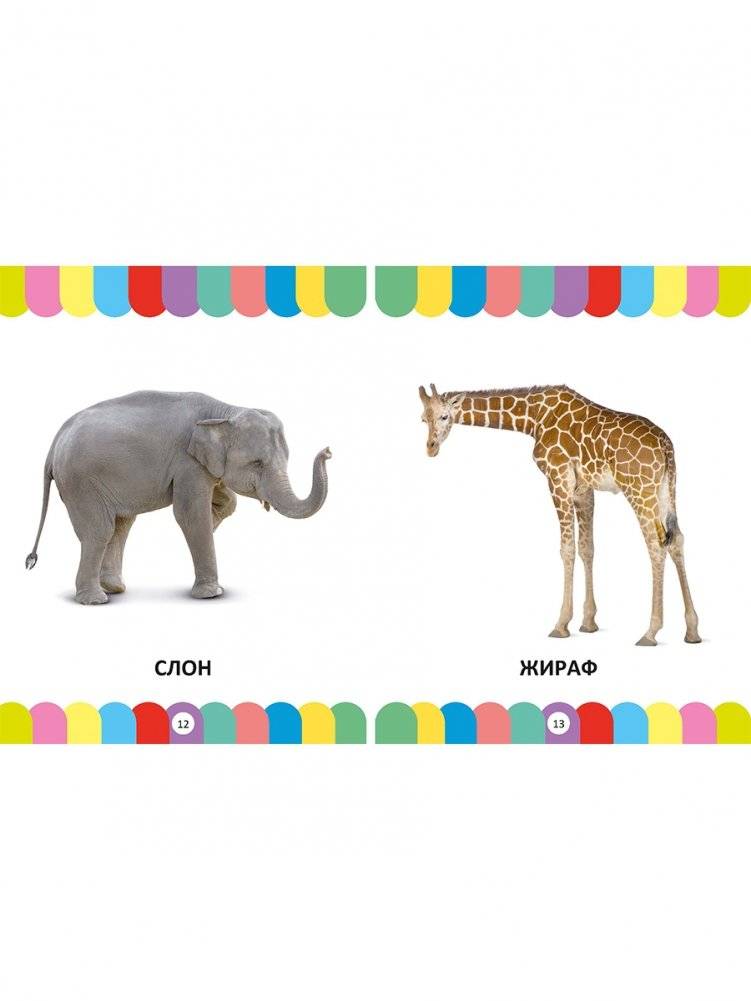 Большая энциклопедия для малышей от 1 года до 3 лет. Фотокнига фото книги 2