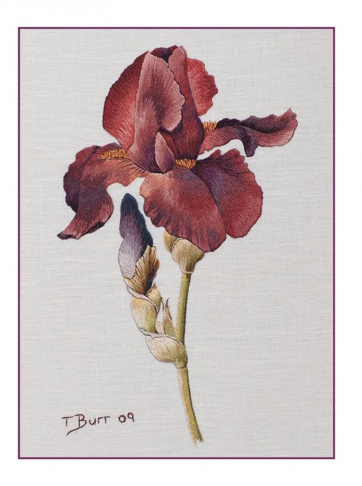 Оттеночное вышивание гладью. Мотивы с цветами и птицами фото книги 5